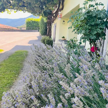 Beautiful Small With Maggiore View Brissago