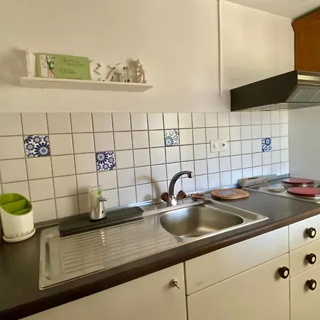 Beautiful Small With Maggiore View Brissago