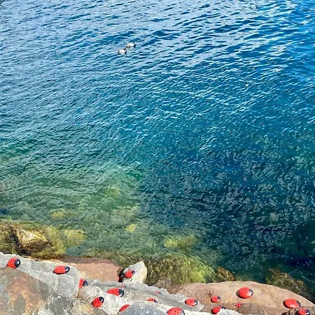 Beautiful Small With Maggiore View