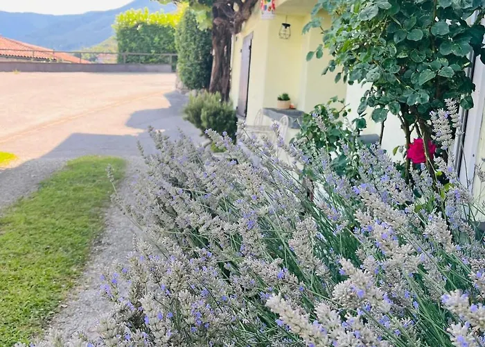 Beautiful Small With Maggiore View Brissago