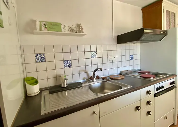 Beautiful Small With Maggiore View Brissago