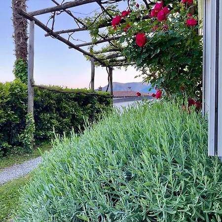 Beautiful Small With Maggiore View * Brissago TI